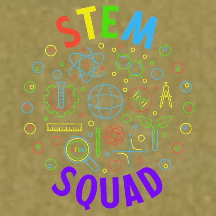 Stem Squad Science Technology Engineering And Math Garment-Dyed Women's Muscle Tee