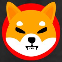 Shiba SHIB Shiba Token Shiba Inu Coin Beanie
