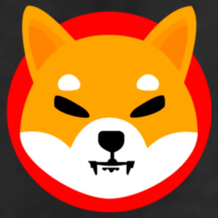 Shiba SHIB Shiba Token Shiba Inu Coin Beanie