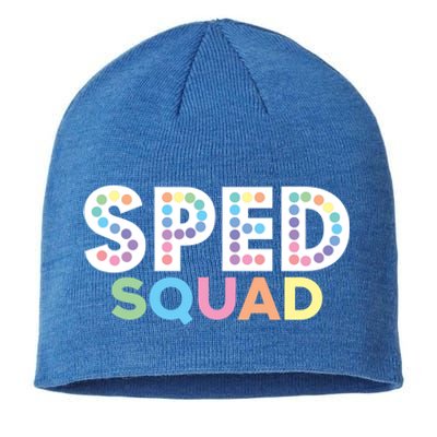 Sped Squad Special Education Teacher Meaningful Gift Sustainable Beanie