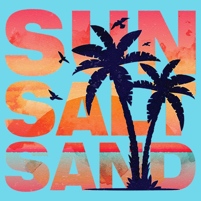 Sun Salt Sand Funny Beach Lover Summer Vacation Palm Tree Poster