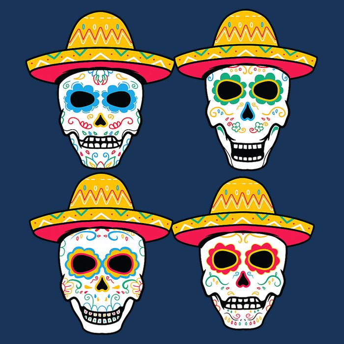 Sugar Skull Sombrero Dia De Los Muertos Mexican Day Of Dead 16 in Basic Backpack