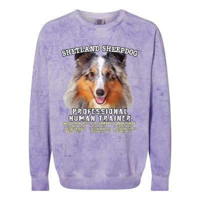 Shetland Sheepdog Sheltie Merle Professional Human Trainer Cute Dog Colorblast Crewneck Sweatshirt