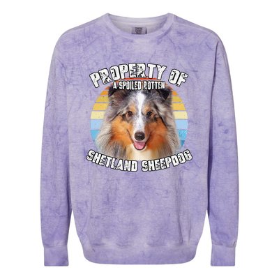 Shetland Sheepdog Sheltie Merle Property Of Retro Cute Dog Colorblast Crewneck Sweatshirt