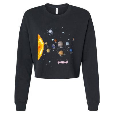 Solar System STEM Kids Realistic Space Cropped Pullover Crew