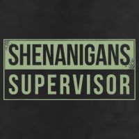 Shenanigans Supervisor Adult Drive Performance Visor