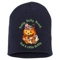 Sassy Salty Sweet And A Little Nutty Funny Candies Pumpkin Buckets Short Acrylic Beanie