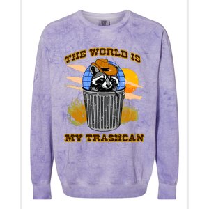 Shithead Steve The World Is My Trashcan Colorblast Crewneck Sweatshirt