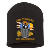 Shithead Steve The World Is My Trashcan Short Acrylic Beanie
