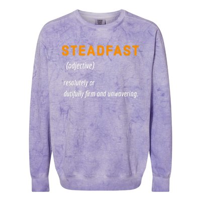 STEADFAST3 Colorblast Crewneck Sweatshirt