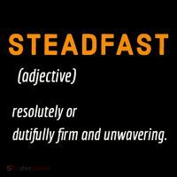 STEADFAST3 Poster