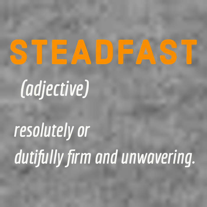 STEADFAST3 Doggie Tank