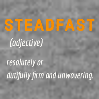 STEADFAST3 Toddler T-Shirt