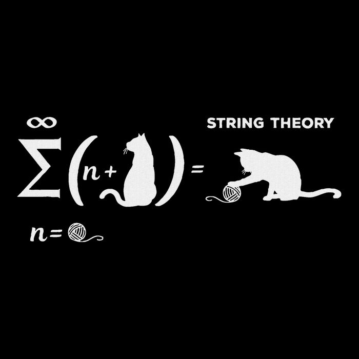 SchröDingers String Theory Cat Physics Quantum Mechanism Women's T-Shirt