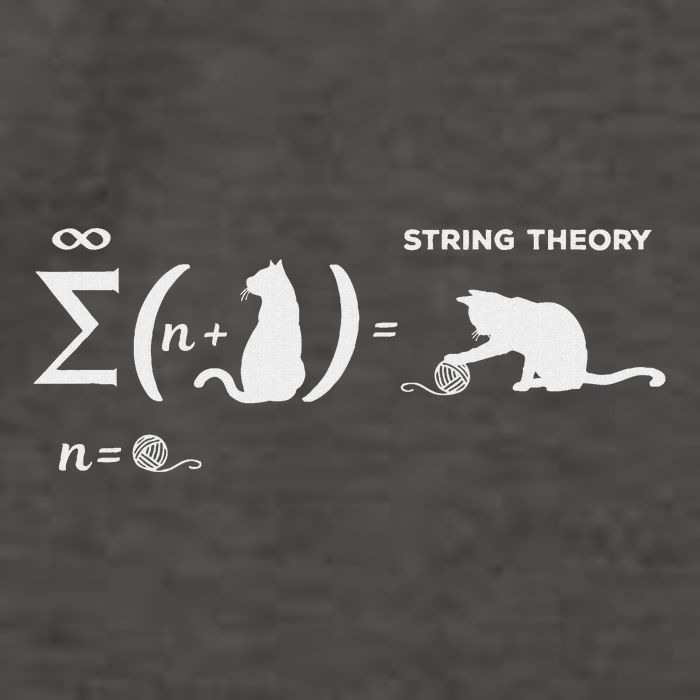 SchröDingers String Theory Cat Physics Quantum Mechanism Vector Backpack