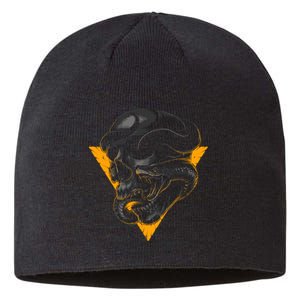 Skull Snake Triangle Graphic Design Sustainable Beanie