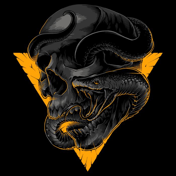 Skull Snake Triangle Graphic Design Toddler T-Shirt