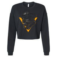 Skull Snake Triangle Graphic Design Cropped Pullover Crew