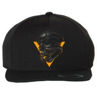 Skull Snake Triangle Graphic Design Wool Snapback Cap