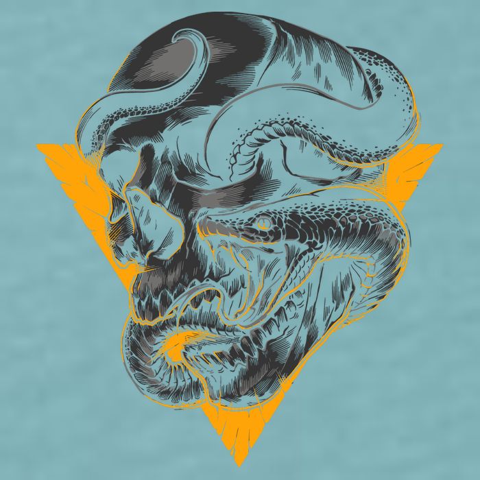 Skull Snake Triangle Graphic Design Sueded Cloud Jersey T-Shirt