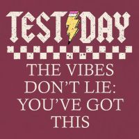 Staar State Testing Day Motivation Dont Lie You've Got This 16oz Travel Tumbler