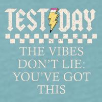 Staar State Testing Day Motivation Dont Lie You've Got This Sueded Cloud Jersey T-Shirt
