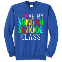 Sunday School Teacher I Love My Class Church Jesus Bible Gift Tall Sweatshirt