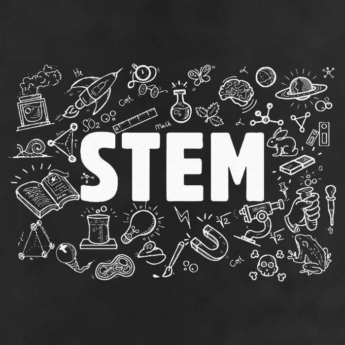 Stem Science Technology Engineering Math Teacher Student Hat
