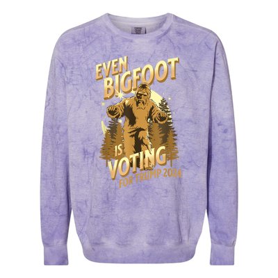 Supporters Colorblast Crewneck Sweatshirt