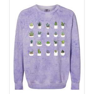 Succulents Colorblast Crewneck Sweatshirt