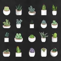 Succulents Adult Drive Performance Visor