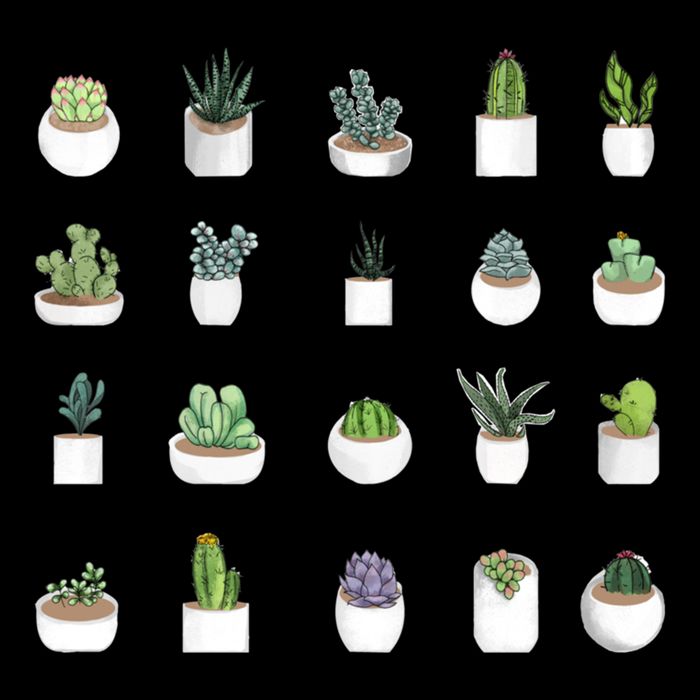 Succulents 16 in Basic Backpack