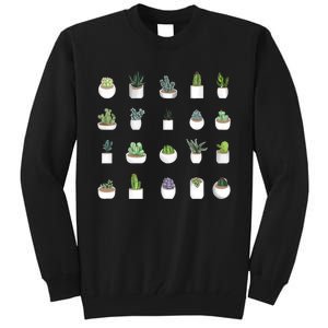 Succulents Tall Sweatshirt