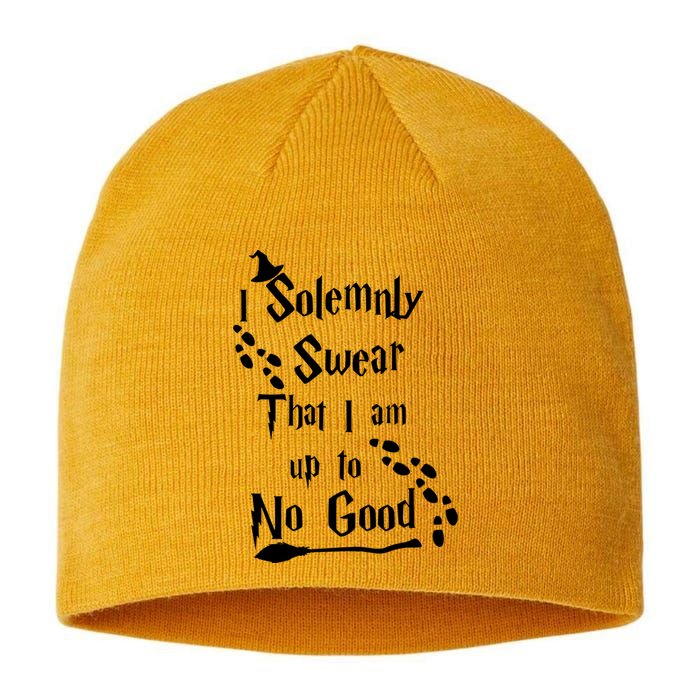 Solemnly Swear Up To No Good Sustainable Beanie