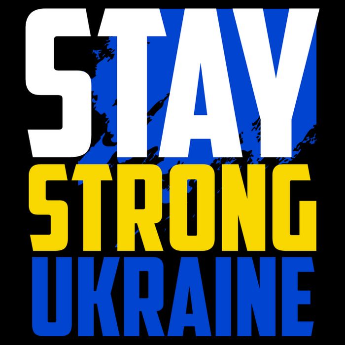 Stay Strong Ukraine Wool Snapback Cap