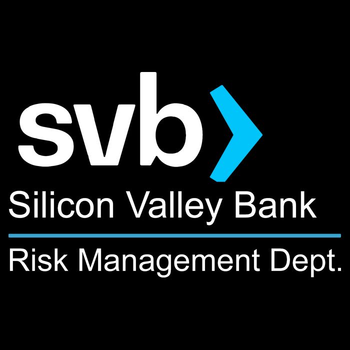 Svb Silicon Valley Bank Risk Management Dept Wool Snapback Cap
