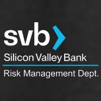 Svb Silicon Valley Bank Adult Drive Performance Visor