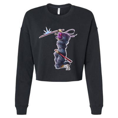 Swordplay Cropped Pullover Crew