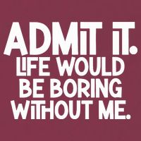 Admit It Life Would Be Boring Without Me 16oz Travel Tumbler
