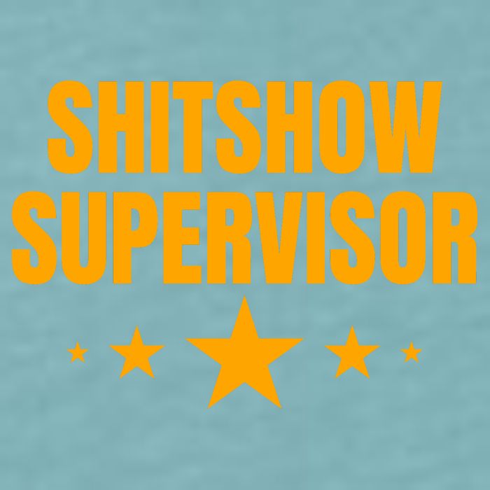 Shitshow Supervisor | Welcome To The Shitshow Sueded Cloud Jersey T-Shirt