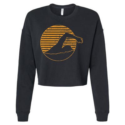 Swimming Cropped Pullover Crew