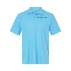 Stay Sober You Idiot Softstyle Adult Sport Polo