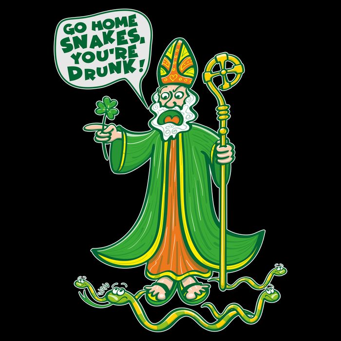 St. Patrick Go Home Snakes You're Drunk Flexfit Unipanel Trucker Cap