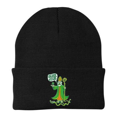 St. Patrick Go Home Snakes You're Drunk Beanie
