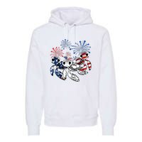 Sea Turtles 4th Of July American Usa Flag Patriotic Premium Hoodie