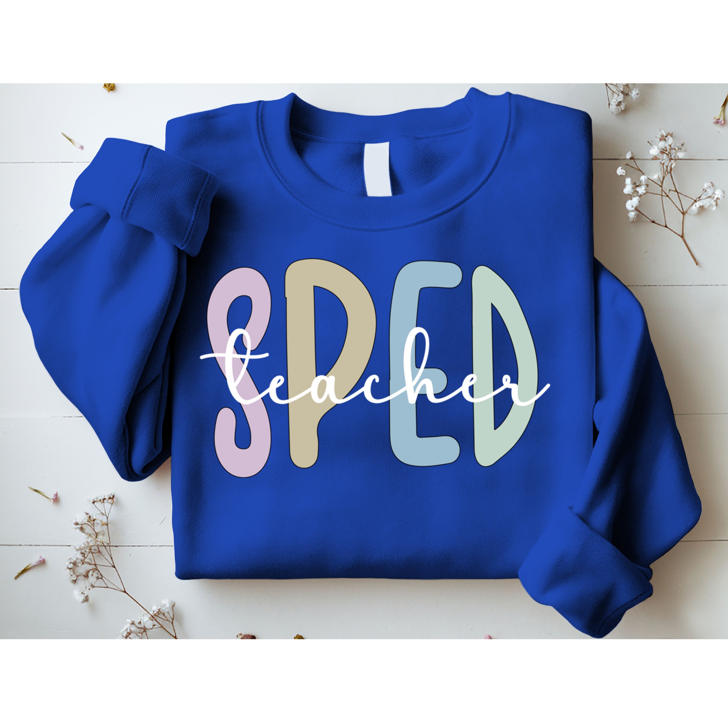 Sped Teacher Appreciation Special Education Teacher Gift Sweatshirt
