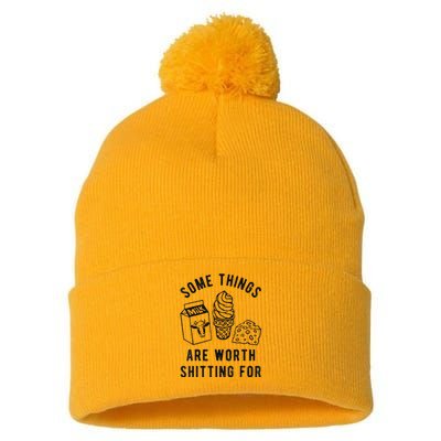 Some Things Are Worth Shitting Pom Pom 12in Knit Beanie