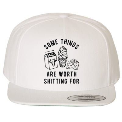 Some Things Are Worth Shitting Wool Snapback Cap