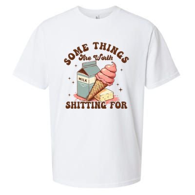 Some Things Are Worth Shitting For Sueded Cloud Jersey T-Shirt