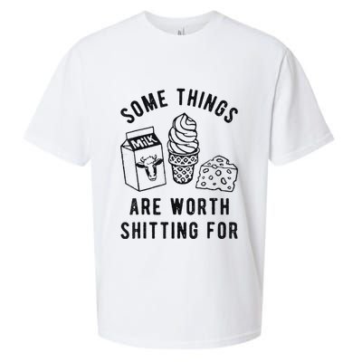 Some Things Are Worth Shitting For Sueded Cloud Jersey T-Shirt
